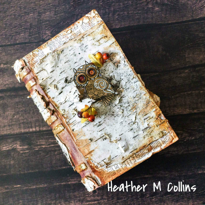 Birchwood Book- Heather Collins