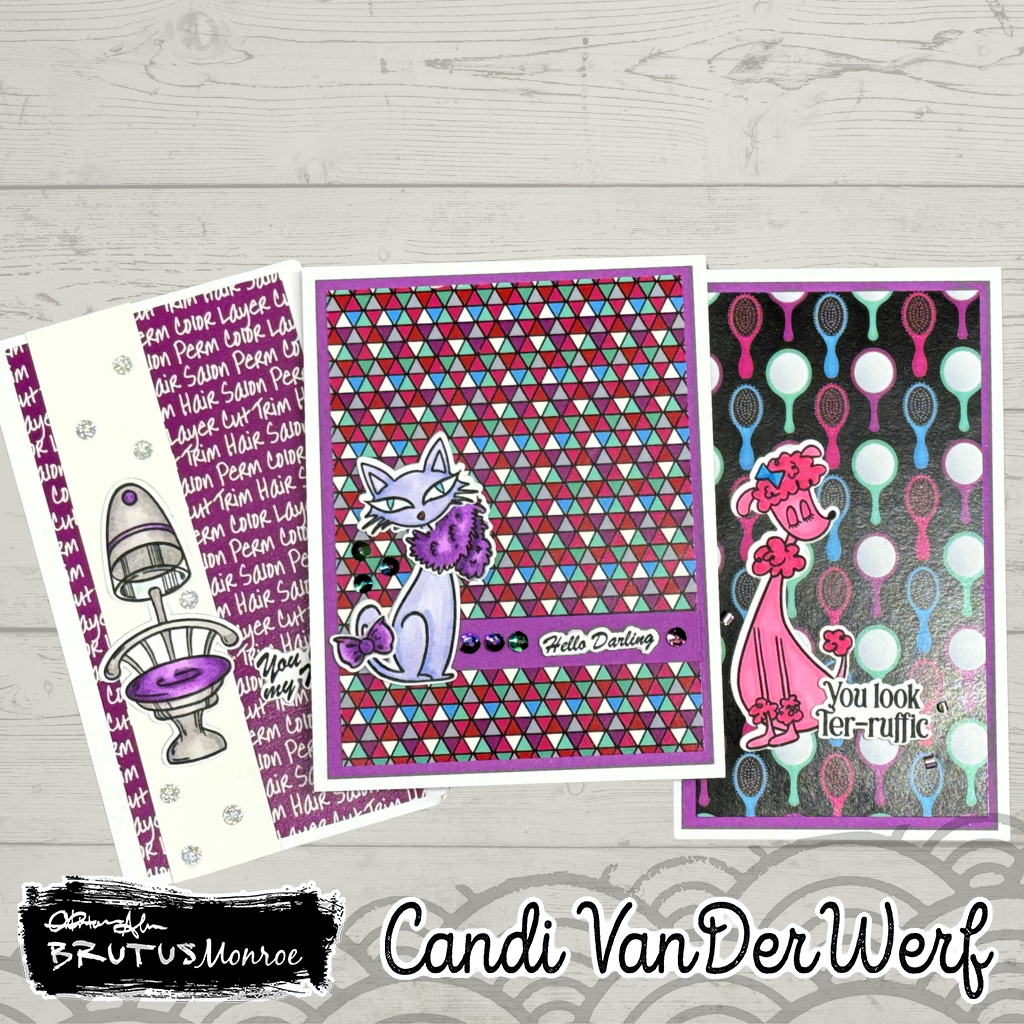 Pampered Pet Box and three cards