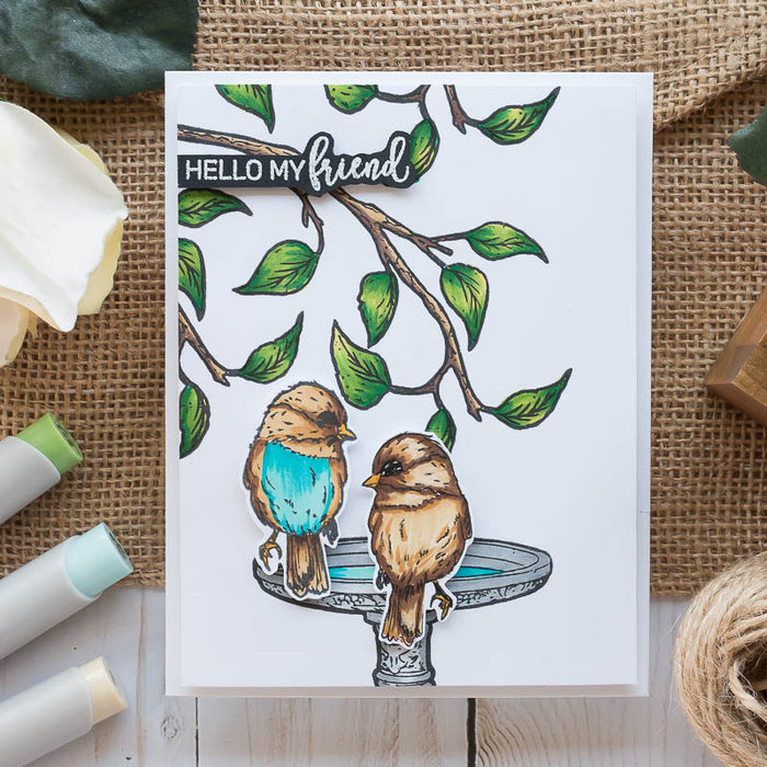 Feathered Friends and Mirror Stamping!
