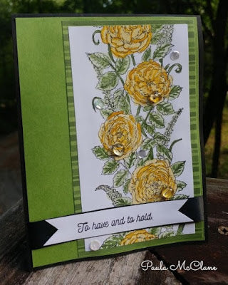 Rose Border with Paula McClane