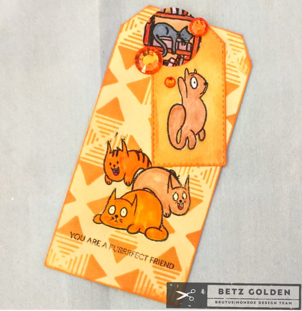 Cat Life Tag