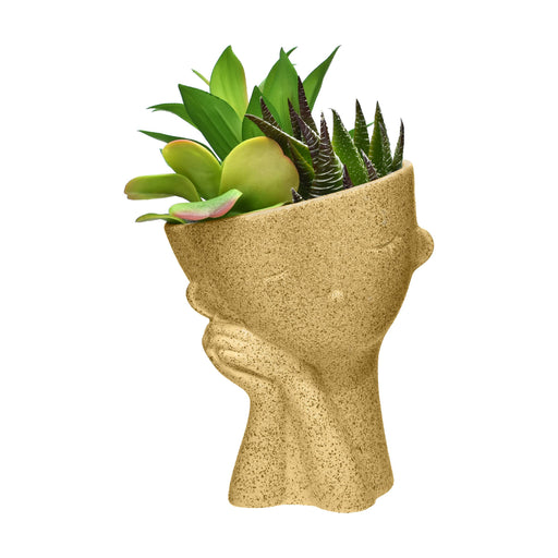 face planting pots Streamline Imagined Endearing Face Planter