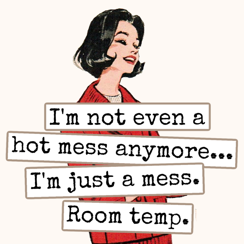 Raven's Rest Studio - I'm Not Even A Hot Mess Anymore... Fridge Magnet. 313