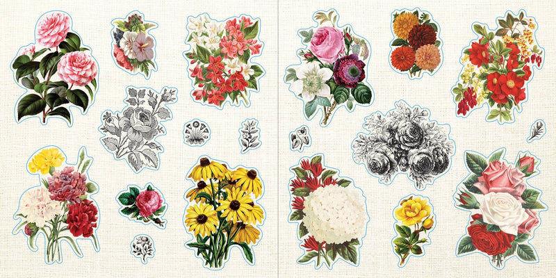 Loads of Ephemera! | Sticker Book  | Peter Pauper Press