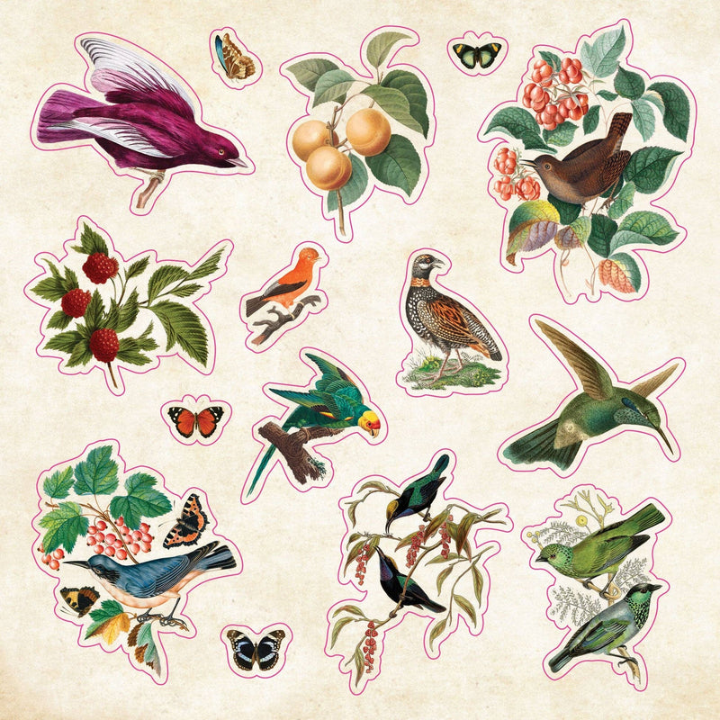 The Sticker Book of Curiosities  | Peter Pauper Press