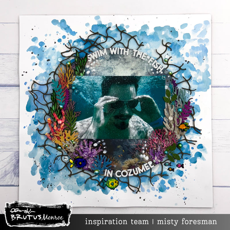 Shellebrations | 6x8 Stamp Set