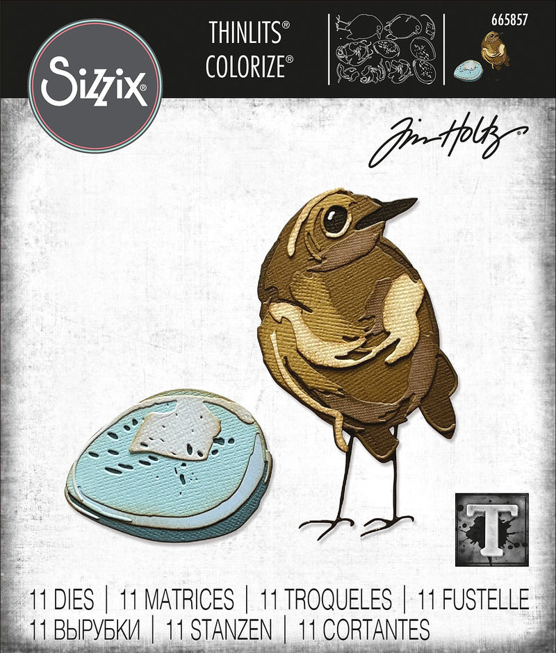 Bird & Egg | Thinlits Dies | TIm Holtz Colorize Sizzix