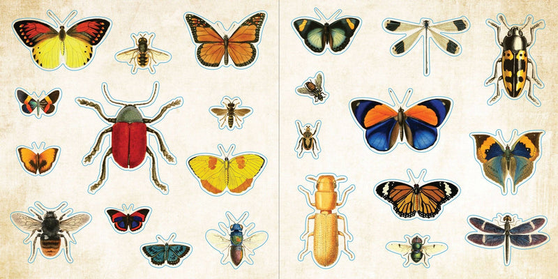 Loads of Ephemera! | Sticker Book  | Peter Pauper Press