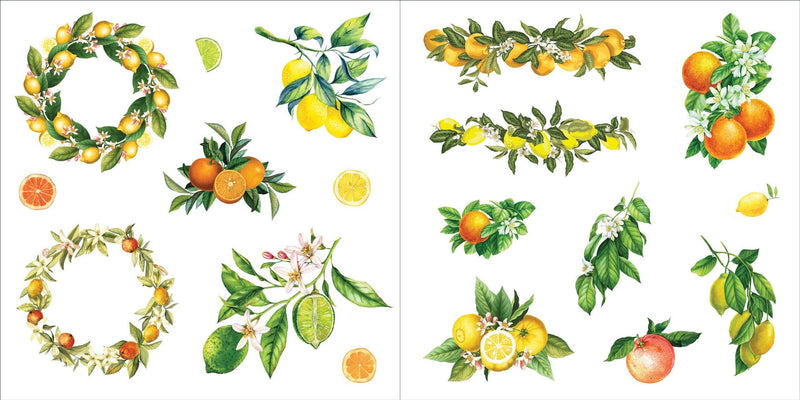 Bunches of Botanicals! | Sticker Book  | Peter Pauper Press