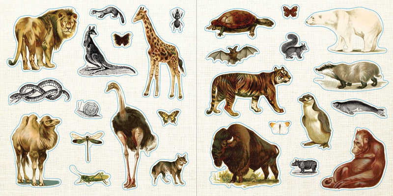 Loads of Ephemera! | Sticker Book  | Peter Pauper Press