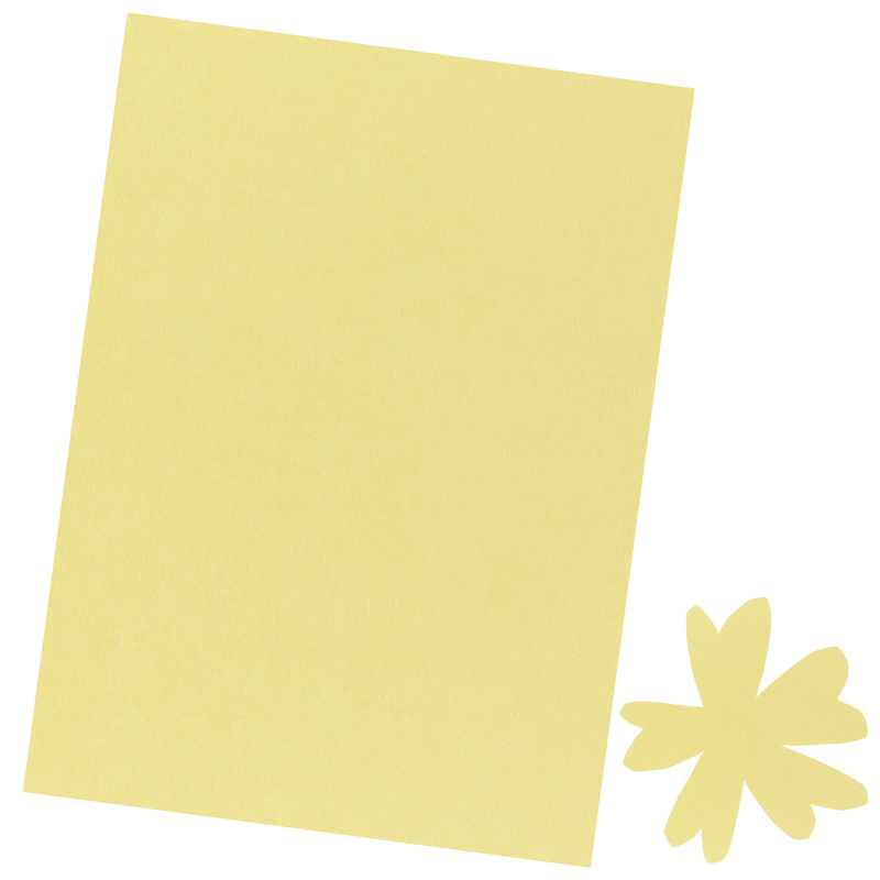 Buttercream | Cardstock | 8.5"x11" | Brutus Monroe