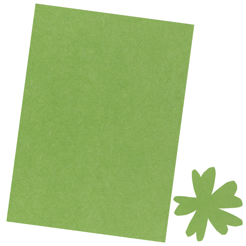 Cabbage | Cardstock | 8.5"x11" | Brutus Monroe