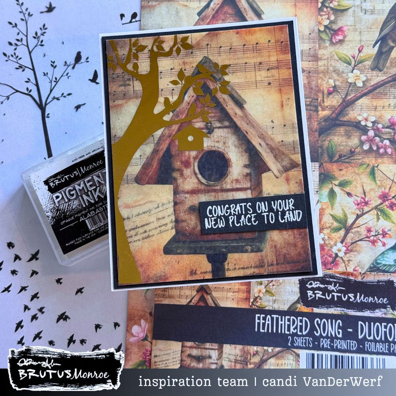 Free Flight | Acetate