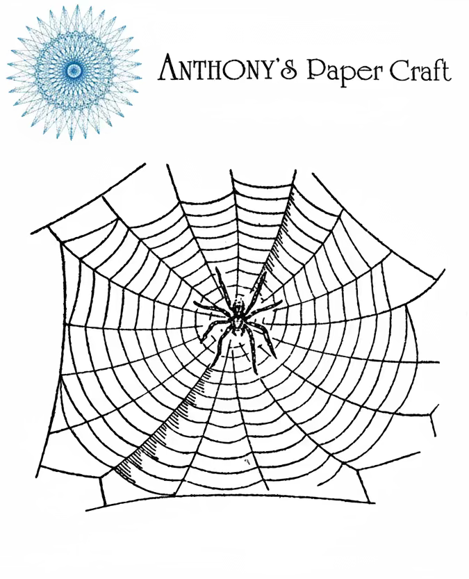 Spider Web | 3x4 Rubber Cling Stamp | Anthony's Paper Craft