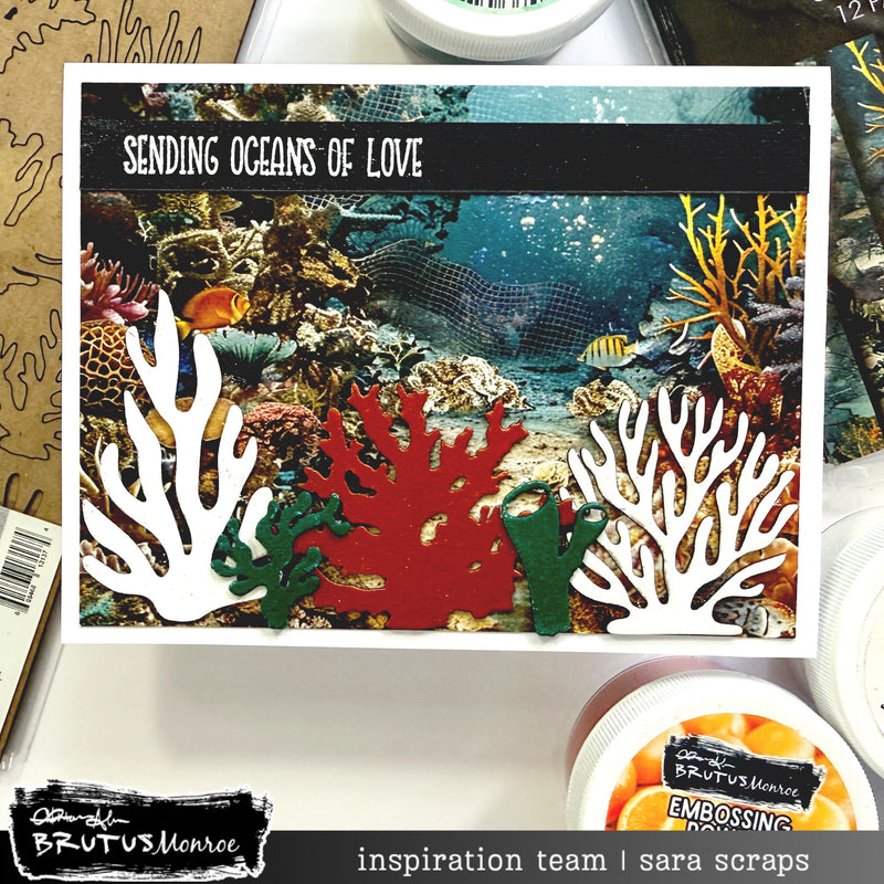 Coral Reef | Chipboard