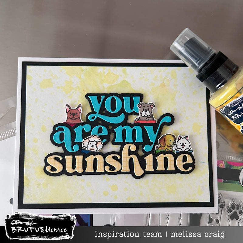 Pack of Dogs | Coordinating Products