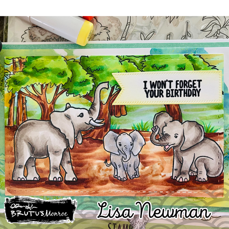 Safari | 6x8 Stamp Set