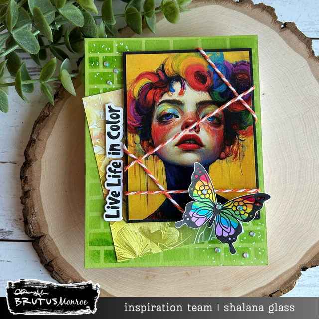 Gorgeous Butterflies | 4x4 Stamp