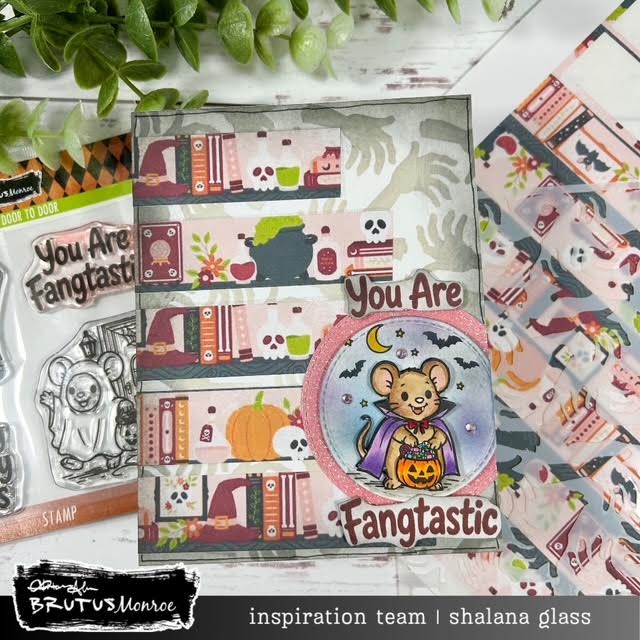 Apothecary Shelves | Washi Sheet