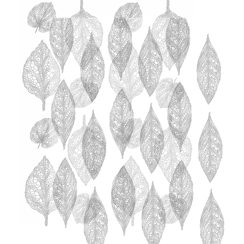 Skeleton Leaves | Acetate