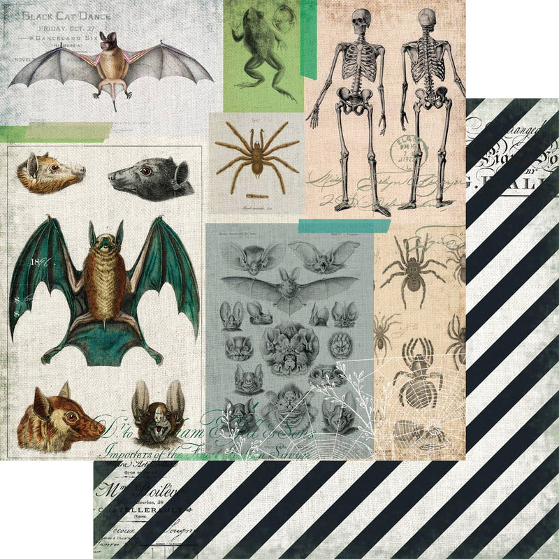 Creepy & Crawly - Hallow's Eve| Paper |Fancy Pants Designs