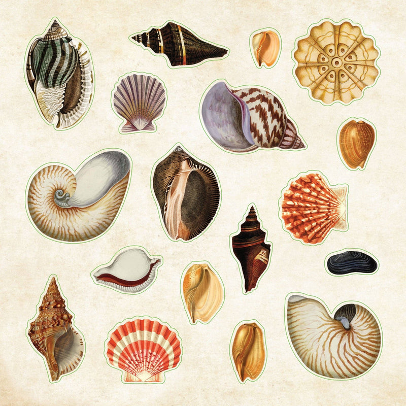 Poseidon's Kingdom | Sticker Book | Peter Pauper Press