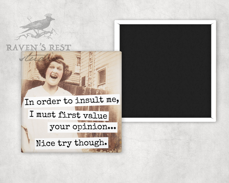 Raven's Rest Studio - Magnet. In Order To Insult Me, I Must First Value Your...