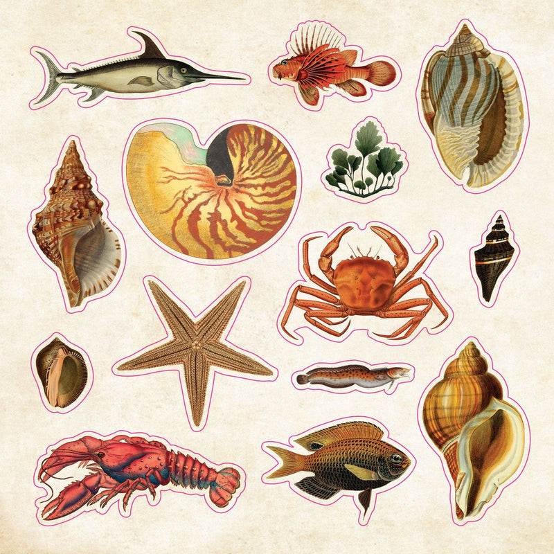 The Sticker Book of Curiosities  | Peter Pauper Press