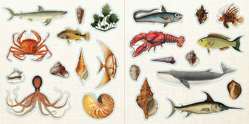 Loads of Ephemera! | Sticker Book  | Peter Pauper Press