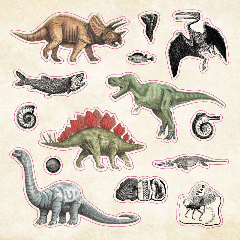 The Sticker Book of Curiosities  | Peter Pauper Press