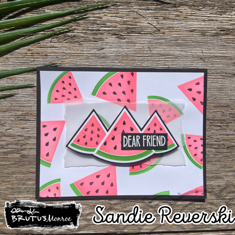 Wild Watermelon | Coordinating DIe