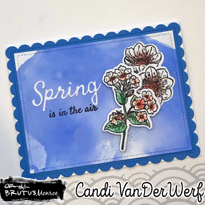 Sentimental Spring 6x8 Stamp Set