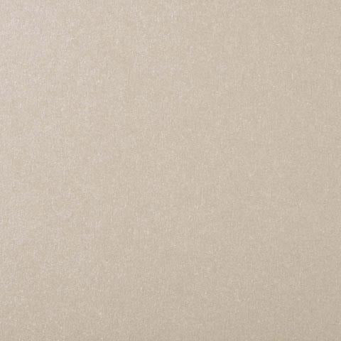 8.5 x 11 Pearlescent Cardstock Sheet: Silver