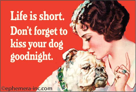 MAGNET: Life is short, don't forget to kiss your dog