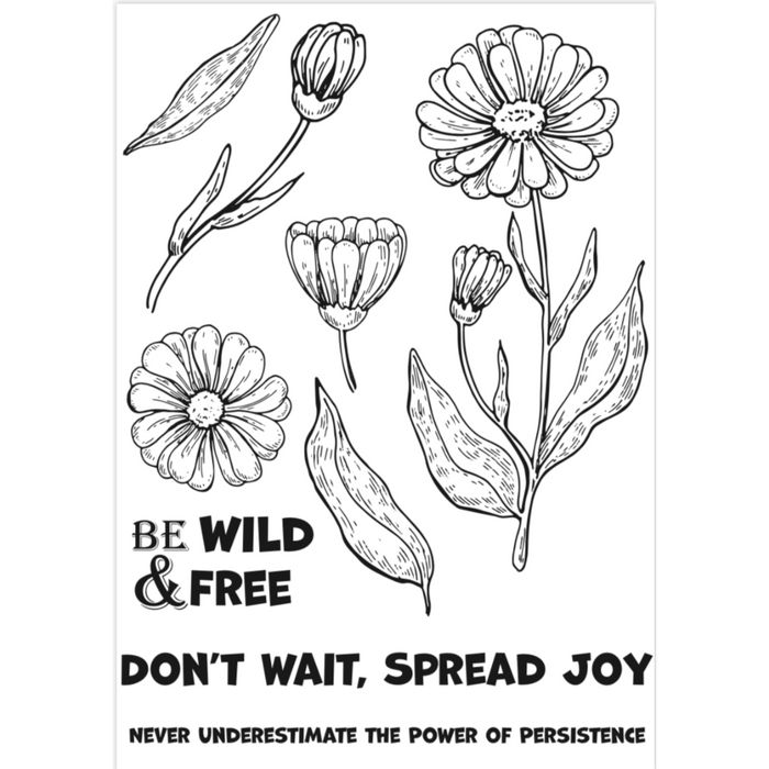 Coloring Pages - Wild & Free